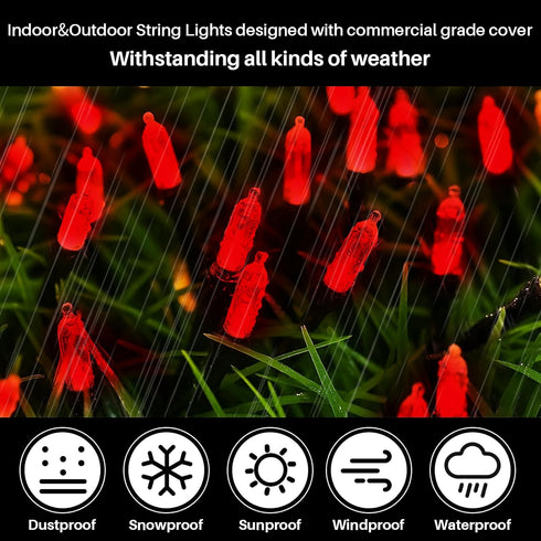 32.5FT 100 16 Red Valentines Decor Lights, LED Valentine's Day String Lights Outdoor Indoor, Lighting Mode Plug