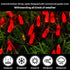 32.5FT 100 16 Red Valentines Decor Lights, LED Valentine's Day String Lights Outdoor Indoor, Lighting Mode Plug