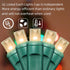 50LED 25FT 30% 70% Bulbs LAMPHOME String Lights, Twinkle and Steady String Light, Warm White LED Christmas Lights