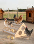 DsyysdS Wooden Chick Perch, Chick Stand Training Perch, Wood Chicken Roosting Bar for Entertainment, Strong Chick