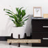 8 9 10 11 12 inches Seanmi Plant Stands for Indoor Plants, Bamboo Plant Stand, Mid Century Plant Holder, Adjustable