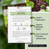 Packet (1) Sow Right Seeds - Mixed Heirloom Lettuce Seeds for Planting - Non-GMO Heirloom with Instructions to Plant