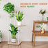 3 3 AZERPIAN Tier Plant Stand Indoor Metal Plant Shelf for Multiple Plants Corner Flower Holders for Living Room