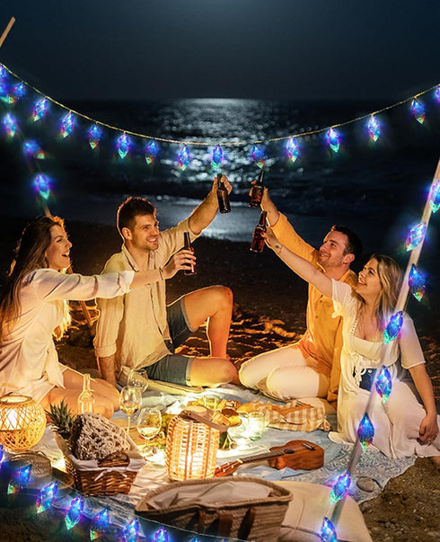 20 9.84FT 8 AceList Iridescent String Lights Indoor, LED Holographic Battery & USB Powered, Lighting Modes, Crystal