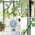YDSL 328ft (100m) Twist Ties, Green Garden Plant Ties with Cutter for Gardening and Office Organization