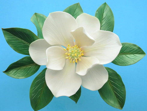 Southern Magnolia Leaf Cutter Set (Set of 2 Sizes)