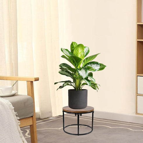 ARTORA Plant Stand Indoor Short Plant Shelf Mid Century Metal and Wood Stool Flower Pot Holder Modern Plant Display Low