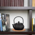 Ipetboom Mini Cast Iron Teapot Tea Set, Miniature Japanese Tea Kettle with Infuser, Kettle Ornaments, Small Teapot