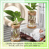 9 Packs Baderke Propagation Vases for Plants Plastic Plant Propagation Station with Hole Lid and Bamboo Stand Growing