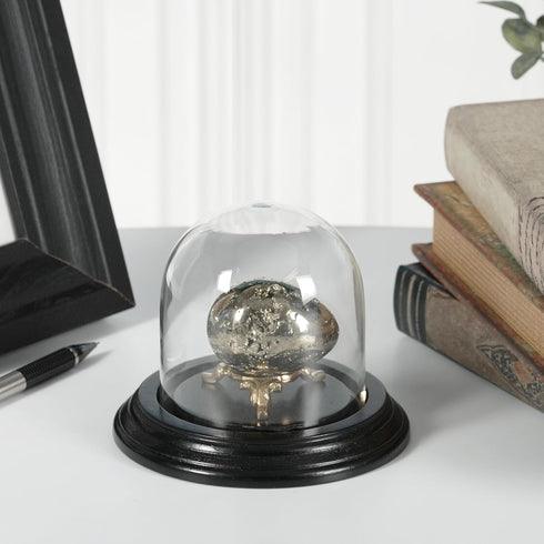 Plymor 3" x 3" Glass Display Dome Cloche with Black Wood Veneer Base
