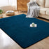 Softlife Navy Blue Area Rugs, 4x6 Washable Bedroom Rug, Soft Fluffy Non-Slip Rug for Kids Home Decor