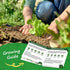 5 Heirloom Lettuce Seeds - Varieties, Non-GMO Seeds for Planting - Black Seeded Simpson, Iceberg, Buttercrunch, Parris