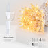 Set,2Pack 50Count 13Feet Bulb Hopolon Clear Christmas Lights Incandescent Mini String Lights with White Wire for Indoor