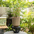 Indoor Wooden Plant Stand Holder for Sill, Desktop, - Single Flower Pot Rack for Small Plants - Unique Tree Root Design