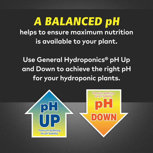 Premium pH Up Liquid Buffer for Hydroponics - Quart Size