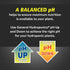 Premium pH Up Liquid Buffer for Hydroponics - Quart Size