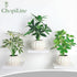 ChopiLine 3 Pack Artificial Plants Stems with Vase, Fake Plants for Home Decor, Coffee Table Centerpieces, Office