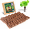 150 Pack Grow Sponges for Hydroponics, Replacement Root Growth Sponges Compatible with