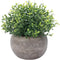 HC STAR Artificial Mini Fake Plant - Potted Decorative Lifelike Green Plants for Indoor and Outdoor Room Decor