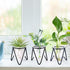 3 Bulb Jspupifip Pcs Glass Plant Terrarium with Metal Stand, Air Plants Holders Hydroponic Plant Vases Desktop Glass