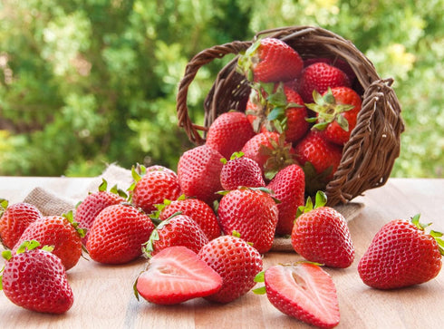 Ficoszo Pack 6 Mulberry (600pcs) Fruit Seeds Combo - Types, Strawberry Raspberry Apple Orange Blueberry Seeds, Non-GMO