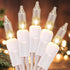 Meteds Christmas Lights 2 PCS 50 Count Clear Mini Lights White Wire