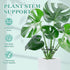 GLCSC 8pcs Plant Stem Support, Plant Support for Indoor Plants, Plastic Reusable Plant Stabilizer, Indoor Plants