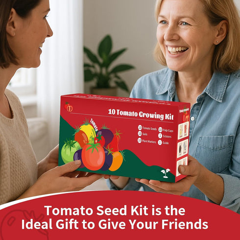EquSym 10 Pack Set Tomato Seeds for Planting - Heirloom Tomato Seeds for Indoor Outdoor Gardening - Natural Soil Disc
