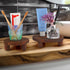 4 Pack 12/10/8/6 Inch Sintuff Mini Wooden Plant Stool Display Wood Cake Stand Round Plant Risers Holder for Flower Pot