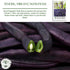 50+ Royal Burgundy Bush Bean Seeds (Phaseolus vulgaris) Non-GMO Heirloom Seeds, Deep Purple Snap Beans for Planting