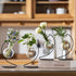 (6) Desktop Glass Plant Propagation Station with Metal Stand,Tabletop Plant Terrarium,Hydroponics Vase for Propagating