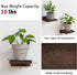 5X5 Inches Set 4, Fixwal Small Shelf for Wall, Floating Shelves of Rustic Wood Small Wall Mounted Shelves for Bedroom