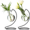 Desktop Glass Plant Propagation Station with Metal Stand,Tabletop Plant Terrarium,Hydroponics Vase for