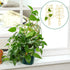 Mozeat Lens 2 Pack 12'' Metal Trellis for Potted Plants, Small Leaf Shape Plant Climber Supports Mini Garden Trellis