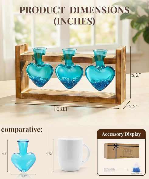3 Bulb Nacome Plant Terrarium Propagation Stations: Mothers Day Gifts for Mom Plant Lovers Women Wife Daughter - Glass