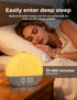 30 LIORQUE Sunrise Alarm Clock, Digital Alarm Clocks Bedside, Sleep Sounds, Sleep Timer, Adjustable Volume
