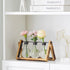 Bulb Marbrasse Plant Propagation Stations with Wooden Stand, Desktop Plant Terrarium Holder Vase, Glass Vase Container