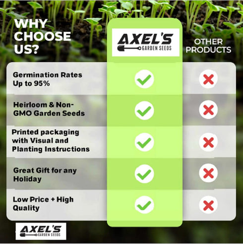 Axel's Garden Seeds Packets 750 3 Packets Rainbow Carrot Seeds for Planting Heirloom Non GMO Seeds Plant & Grow Rainbow