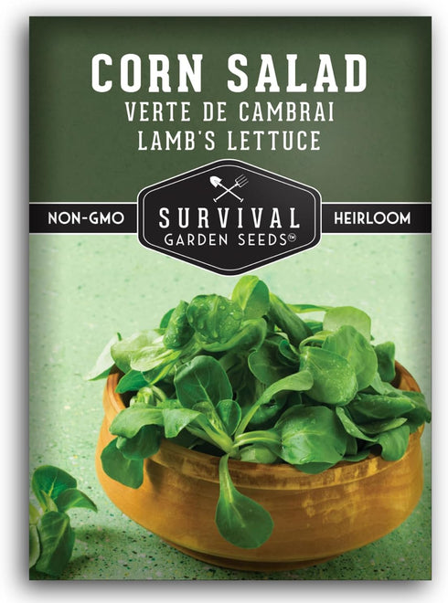 Corn Salad Seeds for Planting - Mache, Lamb's Lettuce - Cold Hardy