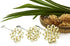 DOK JOK Brass Thai Flower Cookies Mold - Sunflower Crispy Biscuit Mold in Different Sizes (8 cm)