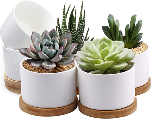 ZOUTOG Mini Succulent Pots, White 3.15 inch Ceramic Flower Planter Pot with Bamboo Tray, Pack of 6 - Plants Not Included