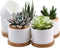 ZOUTOG Mini Succulent Pots, White 3.15 inch Ceramic Flower Planter Pot with Bamboo Tray, Pack of 6 - Plants Not Included