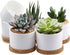 ZOUTOG Mini Succulent Pots, White 3.15 inch Ceramic Flower Planter Pot with Bamboo Tray, Pack of 6 - Plants Not Included