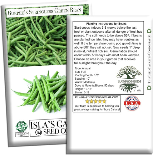 50+ Summer Burpee Stringless Green Bean Seeds (Phaseolus vulgaris) Non-GMO Heirloom Seeds by Islas Garden Seeds, Crisp