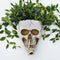White Skull Planter Pot for Outdoor Plants, Halloween Vase, Goth Flower Pot, Day of The Dead Decor