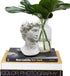 Greek Statue of David Head Bust, Mythology and Roman Home Decor