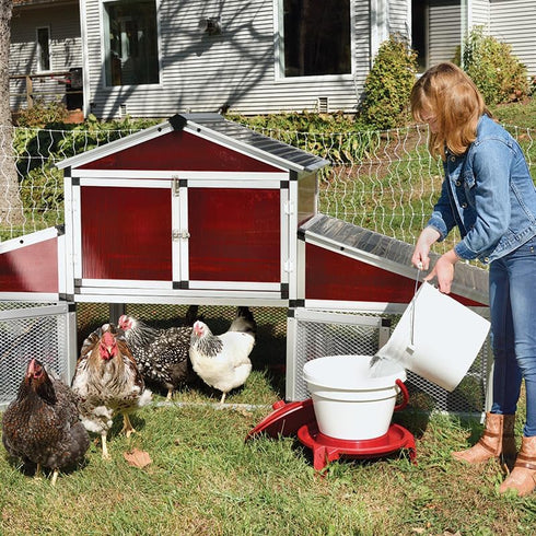 1 3 Premier Quick Clean Poultry Waterer for Chickens & Poultry - Gallon