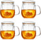 DOPUDO Glass Teacups 4 Pack Glass Tea Cup with Infuser and Lid,