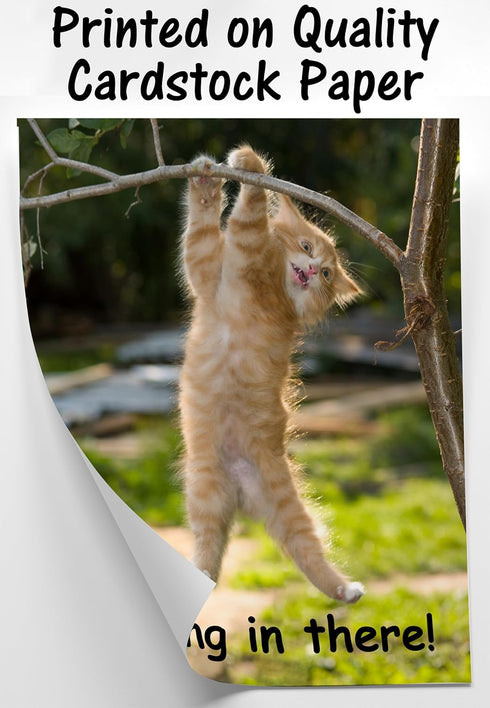 Hang in There Cat Poster, 11 x 14 Inch, Premium Cardstock, Funny Motivational Decor for Home or Office