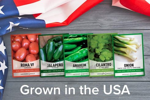 Packets, 5 Gardeners Basics, Heirloom Salsa Growing Seed Roma VF Tomato, Jalapeno, Cilantro, Anaheim and Onion Seeds